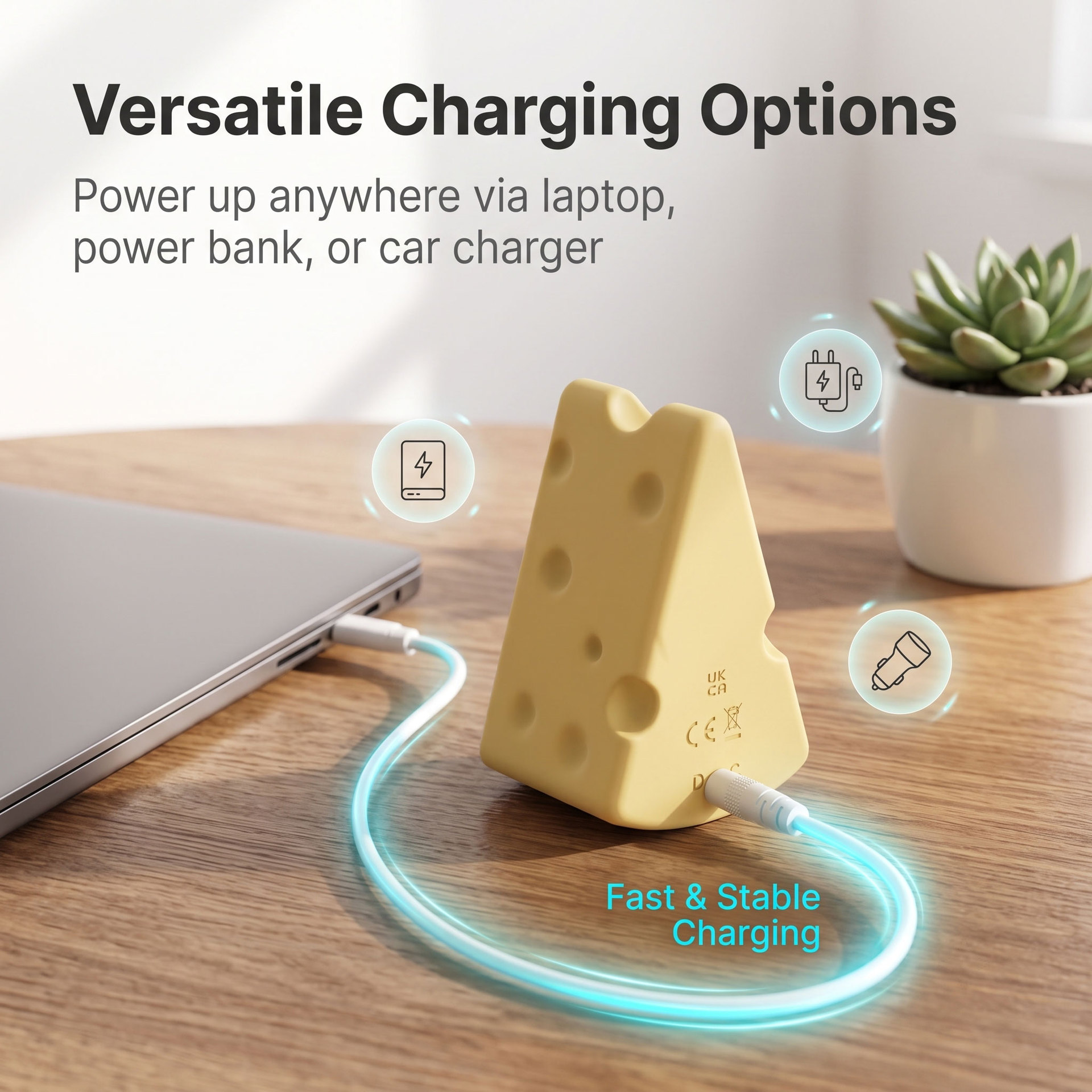 Hazel‑Cheese Egg discreet travel‑ready portable display